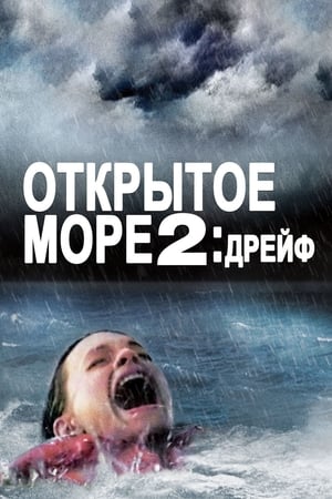 Poster Дрейф 2006