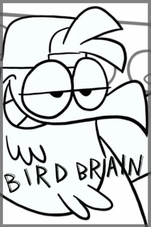 Image Bird Brain