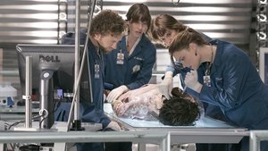 Bones: Stagione 1 – Episodio 3