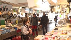 Journeys in Japan: 11×9