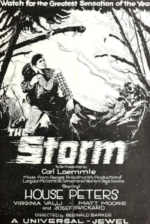 Poster The Storm (1922)