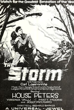 Poster The Storm 1922