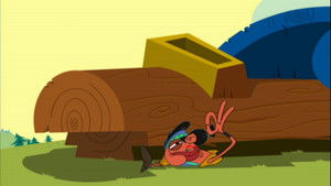 Des plumes dans la prairie