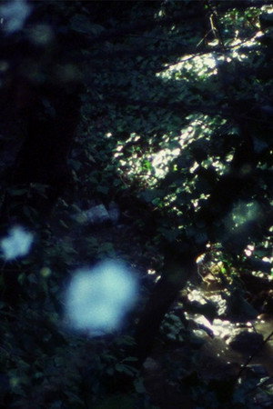 Clairi&egrave;re