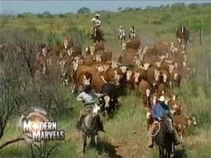 Modern Marvels Cattle Ranches