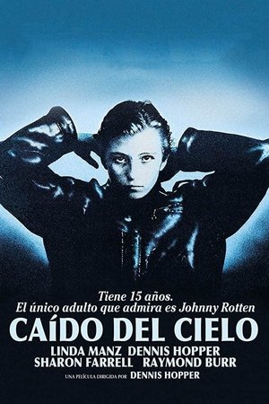 Poster Caído del cielo 1981