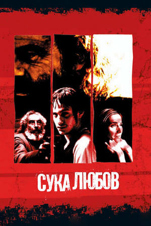 Сука любов (2000)