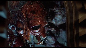 The Fly backdrop