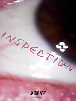 INSPECTION (2025)