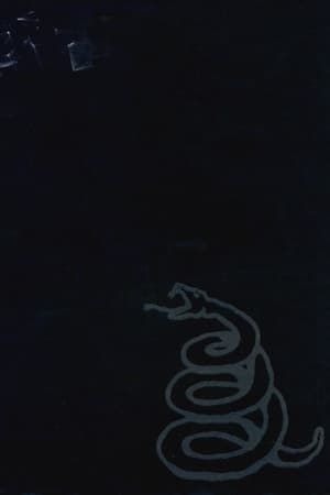 Image Metallica : The Black Album en Live