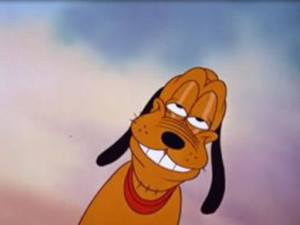 Pluto chanteur de charme