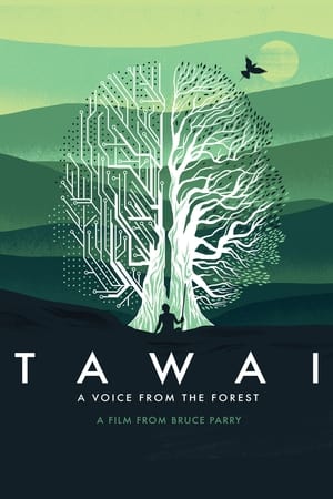 Poster Tawai: A Voice from the Forest 2017