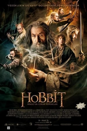 Hobbit: Smaug'un Çorak Toprakları (2013)