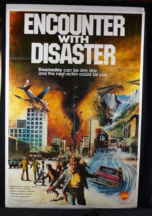 Poster Encounter with Disaster 1979