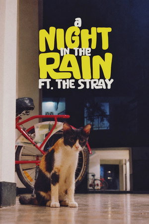 A Night in the Rain ft. The Stray poster