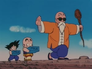 Dragon Ball: 1×17