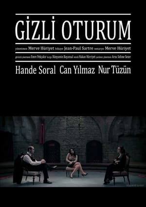 Poster Gizli Oturum (2013)