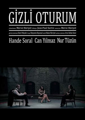 Gizli Oturum 2013