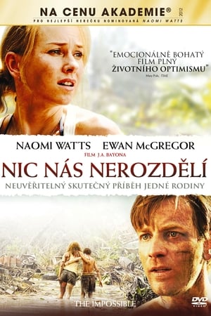 Poster Nic nás nerozdělí 2012