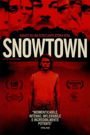 Poster Snowtown 2011