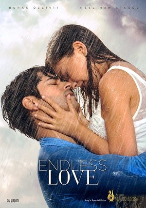 Watch Endless Love online