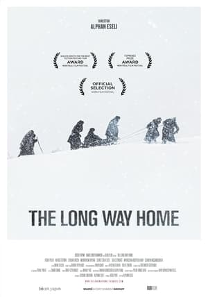 Poster The Long Way Home (2013)