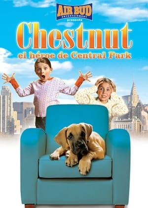 Poster Chestnut: El héroe de Central Park 2004
