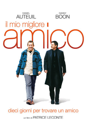 Il mio migliore amico 2006