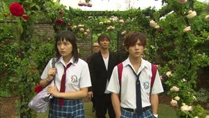 Épisode 8