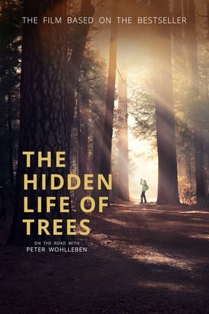 Poster The Hidden Life of Trees (2020)