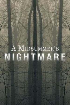 Poster A Midsummer's Nightmare (2017)