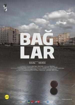 Poster Baglar (2016)