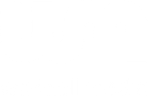 Logo Waddell Media