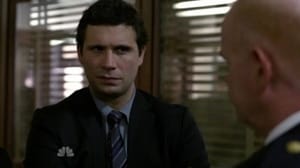 Law & Order: 20×17