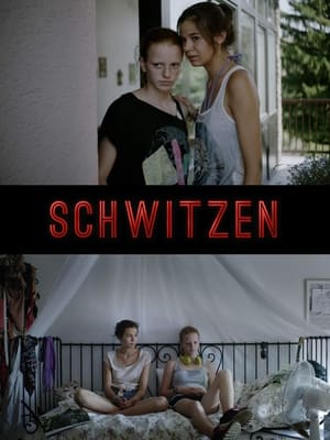 Poster Schwitzen 2014