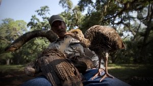 Nature: Season 30 Episode 4
