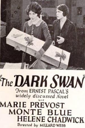Poster The Dark Swan (1924)