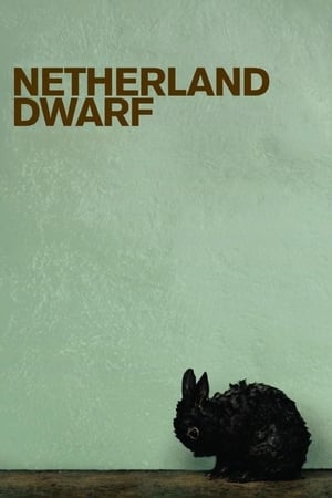Poster Netherland Dwarf (2008)