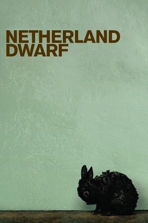 Netherland Dwarf (2008)