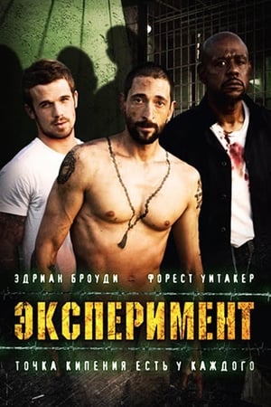 Poster Эксперимент 2010