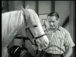 Mister Ed Never Ride Horses