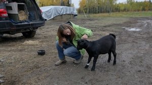 Dr. Oakley, Yukon Vet Fly Like an Eagle