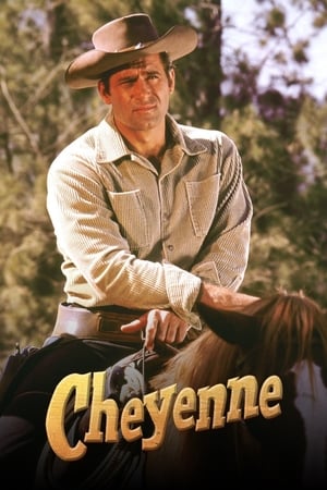 Poster Cheyenne 1955
