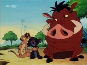 Timón y Pumba: 2×8