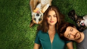 مشاهدة فيلم Puppy Love 2023 مترجم