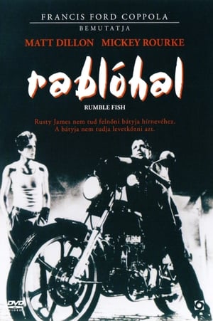 Poster Rablóhal 1983