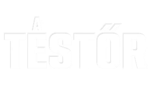 The Sentinel — Logos 7