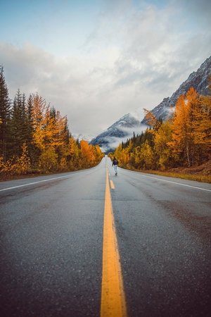 Nonton film Nature (2024) terbaru sub indo Nonton film Nature (2024) terbaru sub indo