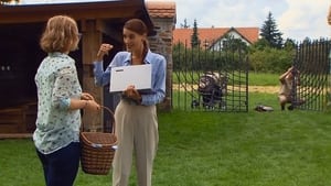 Slunečná: 1×147