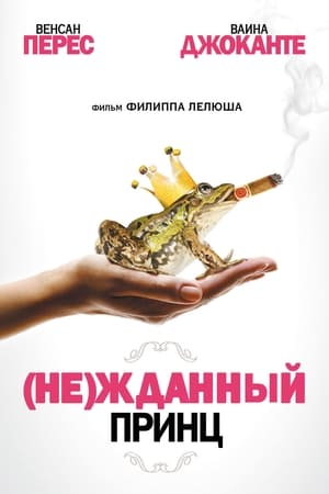 Poster (Не)жданный принц 2013